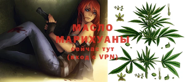 амф Бородино