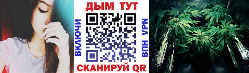 Каннабис сатива  купить   Рыбинск 